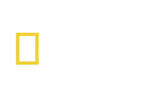 Logo M+ Champions