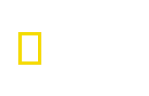 Logo Disney+